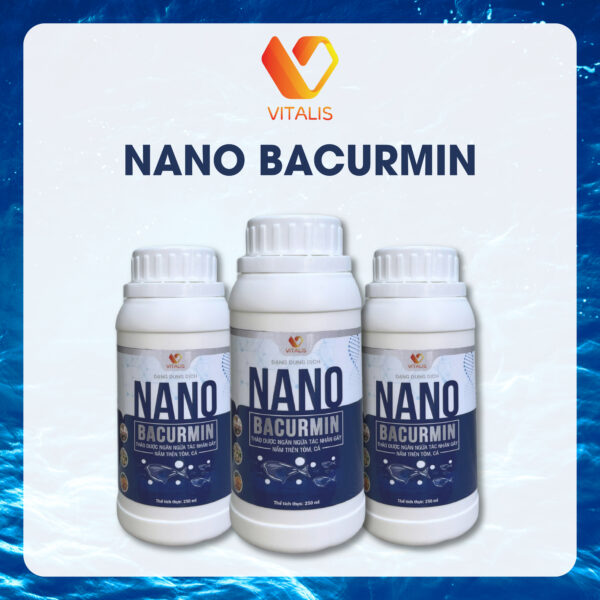 NANO BACURMIN