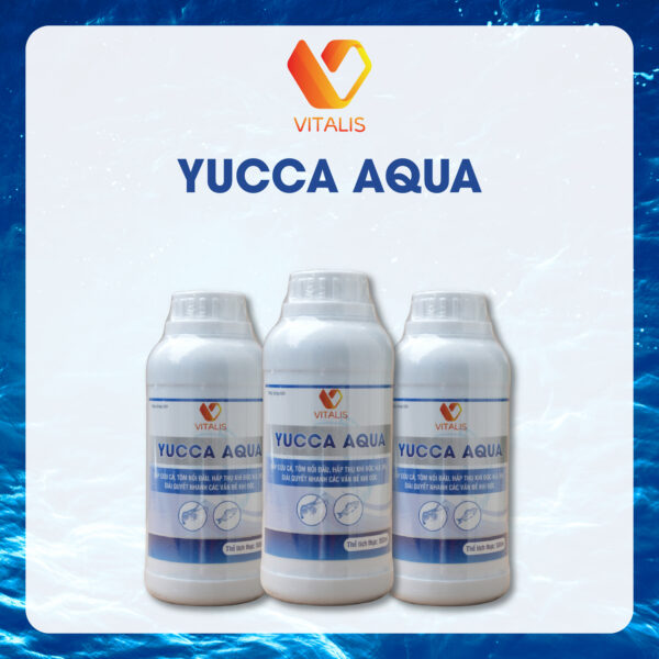 YUCCA AQUA