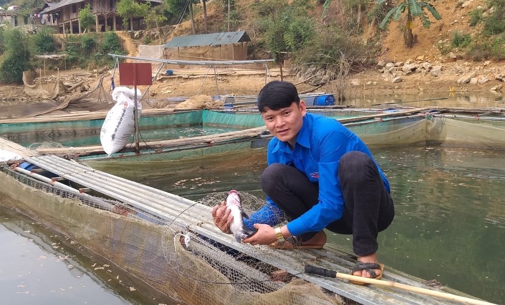 Trang trại Cá Việt